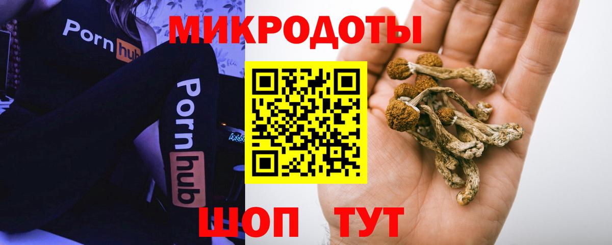 Галлюциногенные грибы мицелий Владикавказ
